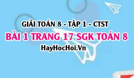 Giải bài 1 trang 17 Toán 8 Tập 1 SGK Chân trời sáng tạo